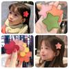Girls Snap Hair Clips Flowers Star Design Hair Accessories for Women