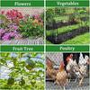 Anti Bird Bird Netting Heavy Duty Protective Netting Cat Dog Net Garden Netting Mesh  Pond Cover