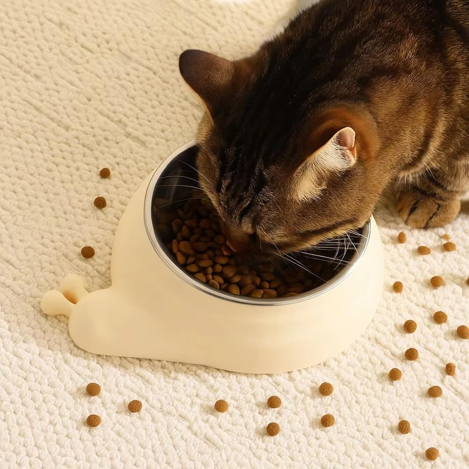 7 Pcs Raised Food Bowl Stainless Steel Tilted Feeding for Little Raised 15° Elevated Pet Dish бежевый