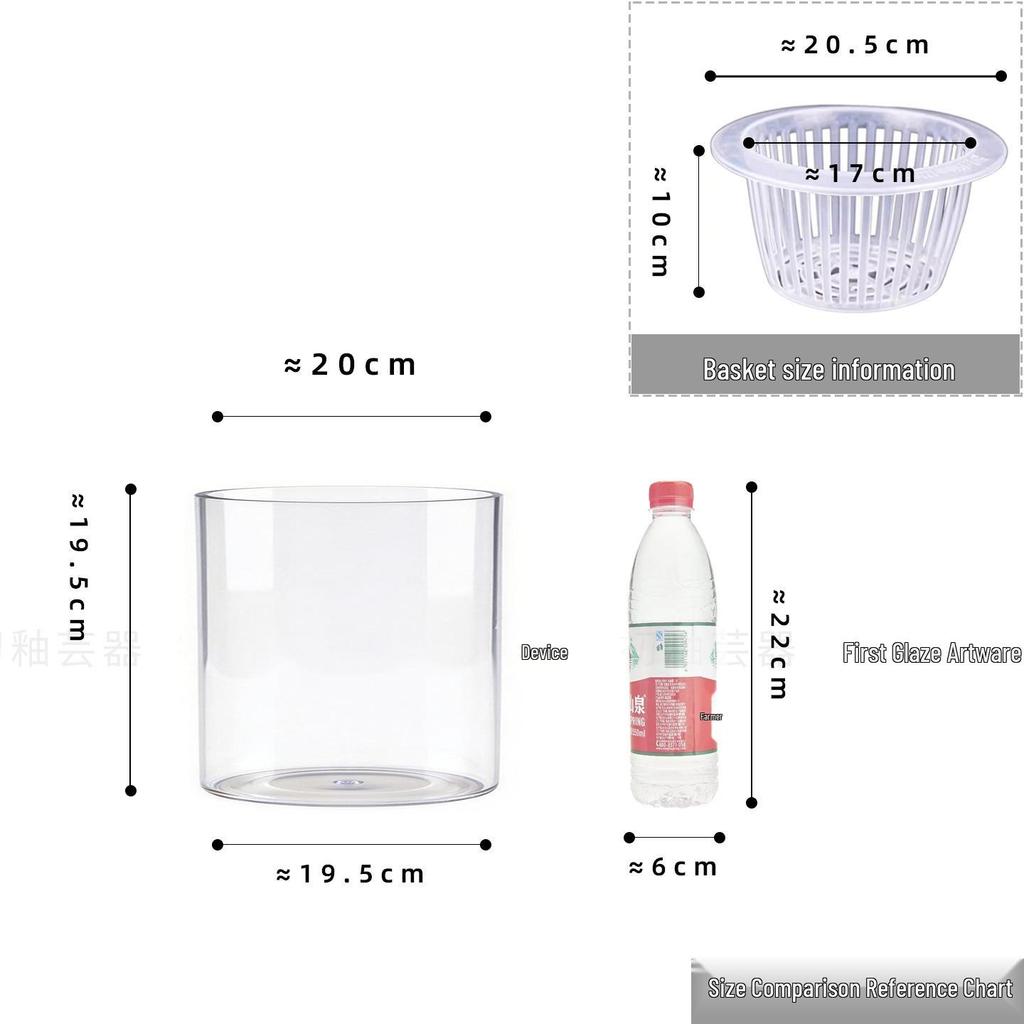 Large Transparent Vase for Hydroponic Plants: Coin Plant, Orchids, Money Tree, Plastic Flower Pot