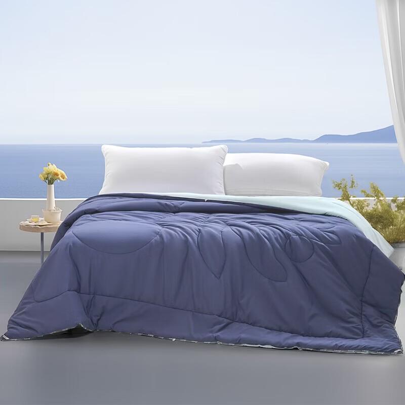 Mercury Home Textiles Washable Soybean Oxygen Quilt