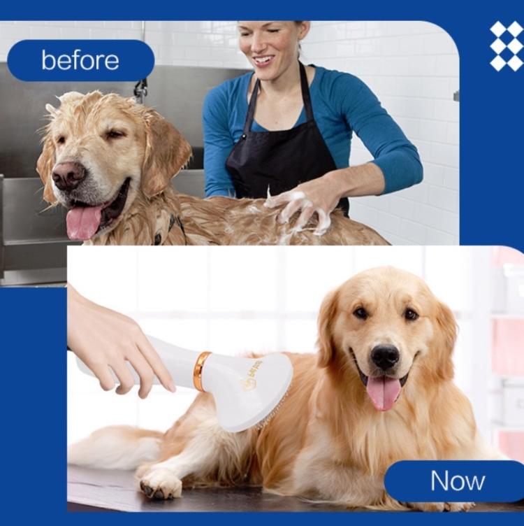Pet Hair Dryer Cat & Dog Cleaning Electric Comb, Specification:US Plug