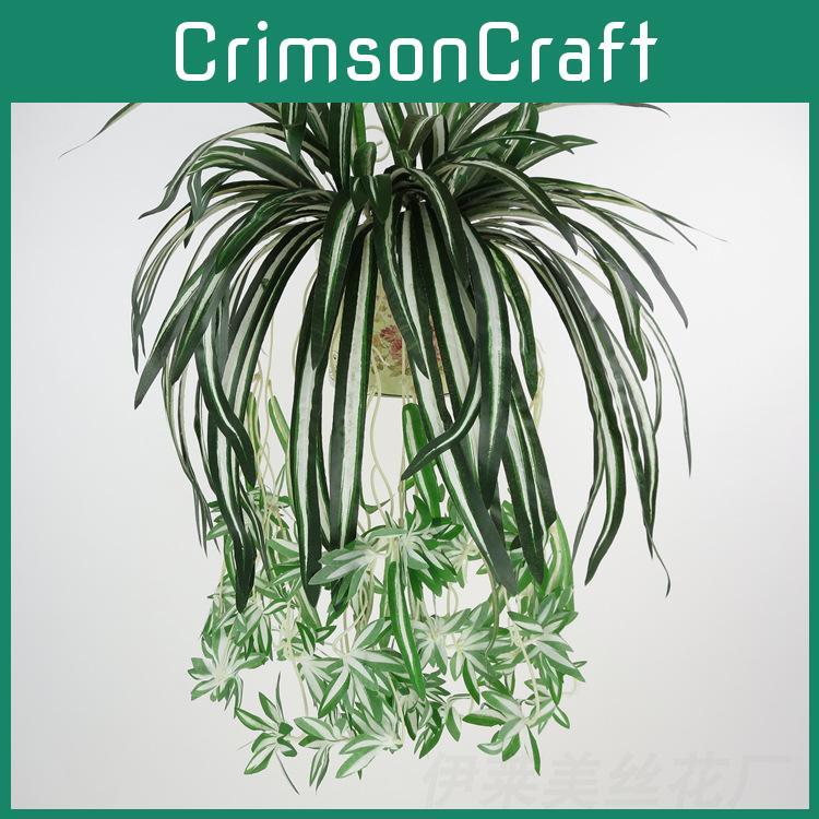 Comosum Chlorophytum Wall Hanging Decoration For Indoor Outdoor Garden Gift