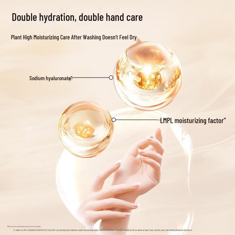 Foaming Antibacterial Hand Soap Set