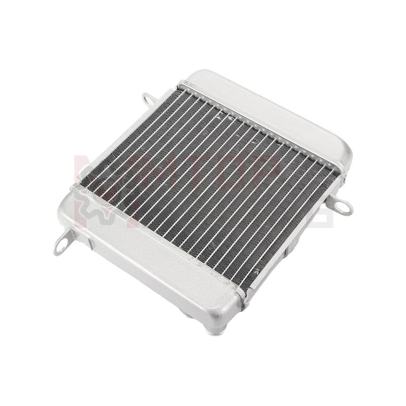 Motorcycle Aluminium Cooling Radiator Water Cooler For Honda PS250 Big Ruckus 2006 19010-KTB-003