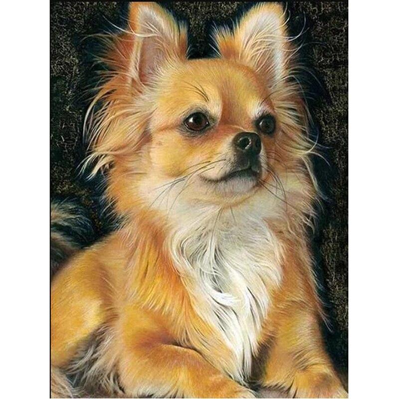 

Полный круглый дрель из смолы 5D DIY Алмазная картина Собака Алмазная вышивка Животные Вышивка крестиком Искусство Ручная работа Подарок Домашний декор Full Round 30x40cm