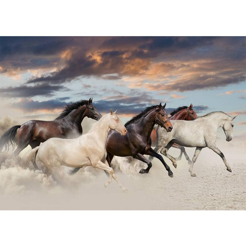 5D DIY Diamond Painting Animal Cross Stitch Kit Full Diamond Embroidery Horse Rhinestone Picture Mosaic Home Decoration Gift