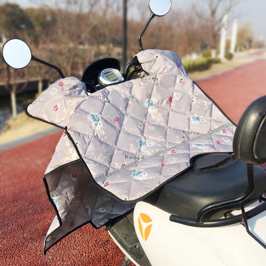 

Year-Round Wind/Rain Protection Cover for Electric Vehicles & Bikes Standard