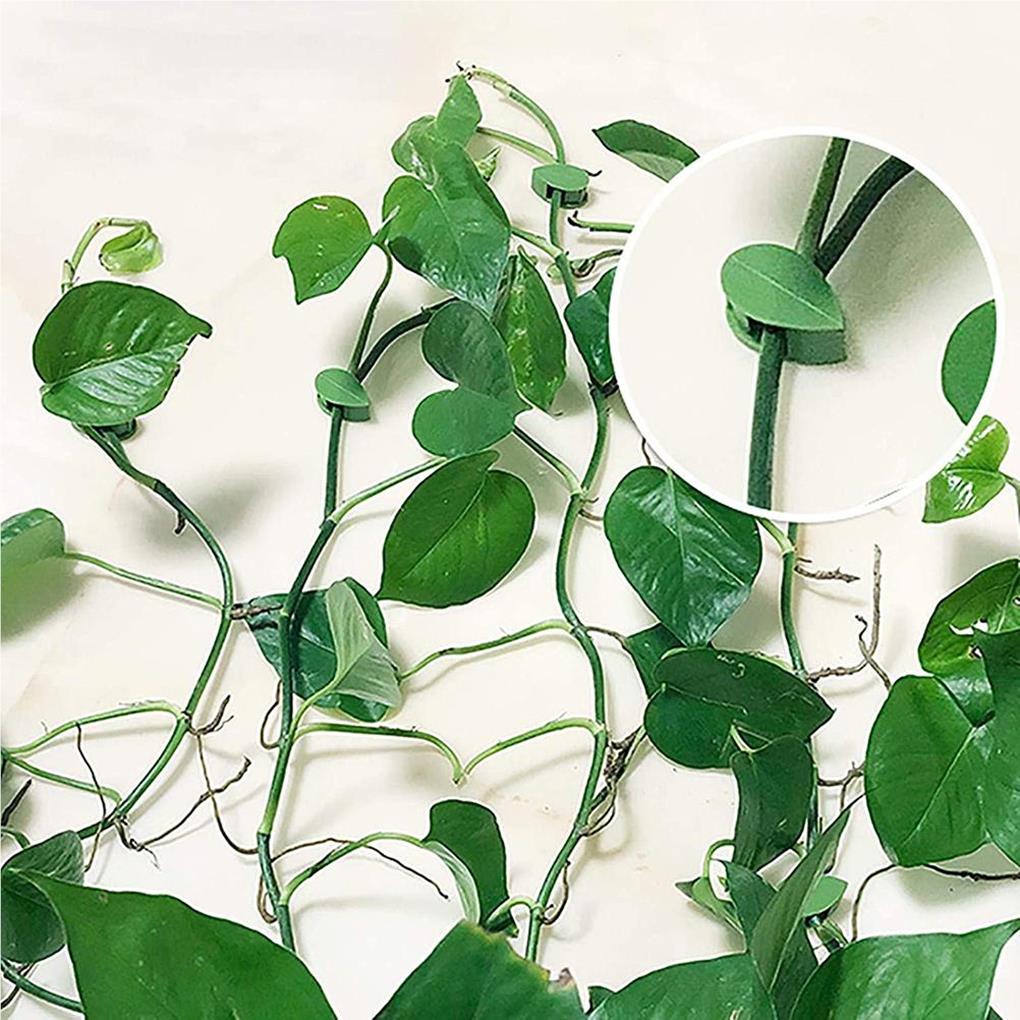 10 Pieces Climbing Plant Support Drill-free Snap Self-adhesive Invisible Hook Holder Wall Fixture Leaf Clip Indoor Garden