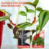 Plant Stem Training Bending Clamps Garden Greenhouse Flower Vegetable Plant Vine Clips for Low Stress Plant Growth 10/20/50Pcs