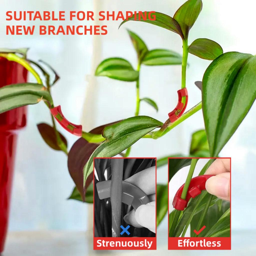 Plant Stem Training Bending Clamps Garden Greenhouse Flower Vegetable Plant Vine Clips for Low Stress Plant Growth 10/20/50Pcs