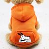 Autumn/Winter Hooded Sporty Pocket Sweatshirt for Dogs and Cats