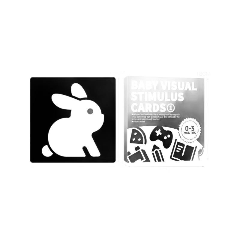 Early Education Visual Stim Cards: Newborn to 3-Year-Olds, Black-White & Color