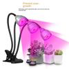 DC5V USB LED Plant Grow Light 4heads flower Red Blue light Phytolamps Timer Waterproof Desktop Clip Phyto Lamps Flowers Grow Box