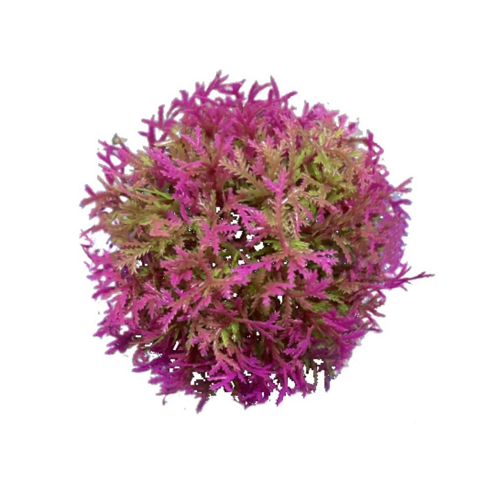 Simulation Water Grass Ball Realistic Artificial Water Plants Aquatic Plants Ball Home