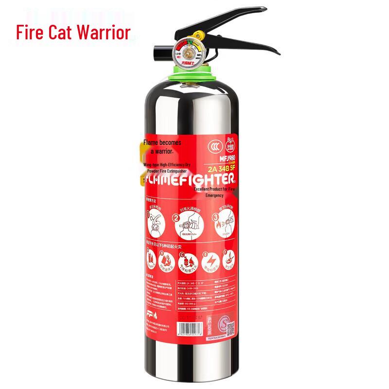 Flame Warrior Dry Powder Fire Extinguisher