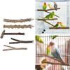 5pcs Parrot Bird Perches Natural Wood Bird Standing Stick Parrot Stand Platform Wooden Exercise Climbing Dog Puppies Large Breed