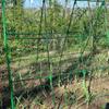 Plant Trellis with Net Sturdy Garden Frame Modular for Growers