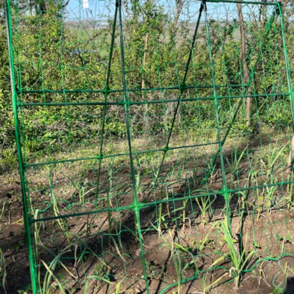 Plant Trellis with Net Sturdy Garden Frame Modular for Growers