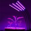 USB Full Spectrum Led Plant Grow Light Bulb  For Indoor Plants Flower Led Grow Lights Spot Lamp DC 5V