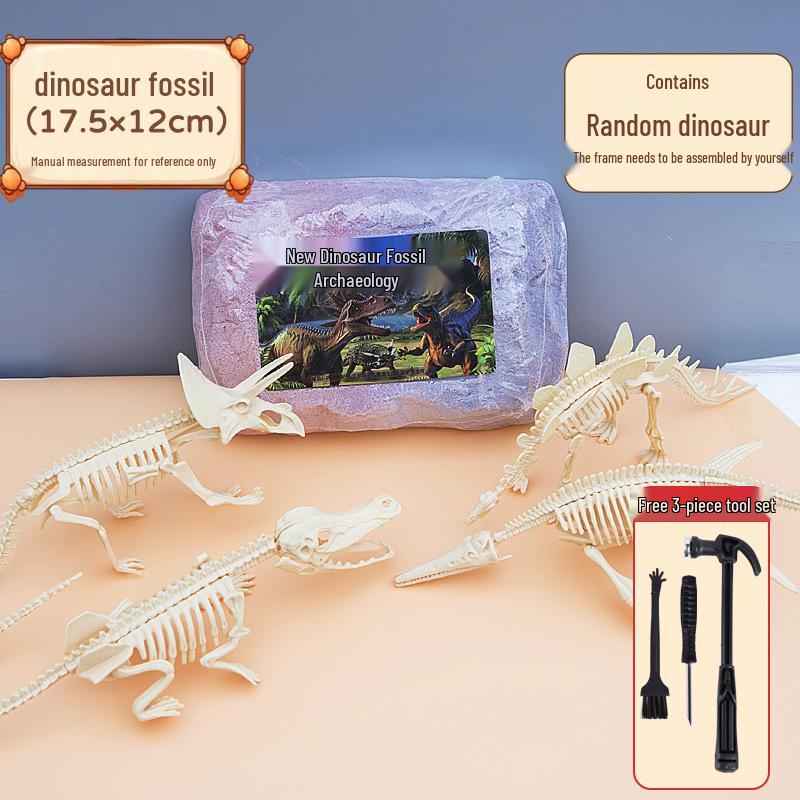 Archaeology Treasure Dig Toy: Dinosaur & Gem Fossil Kit for Kids
