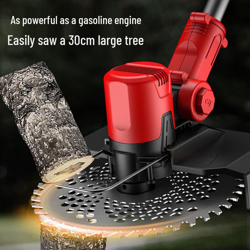 DELIXI Rechargeable Electric Lawn Mower & Weeder CN plug (adapter included)