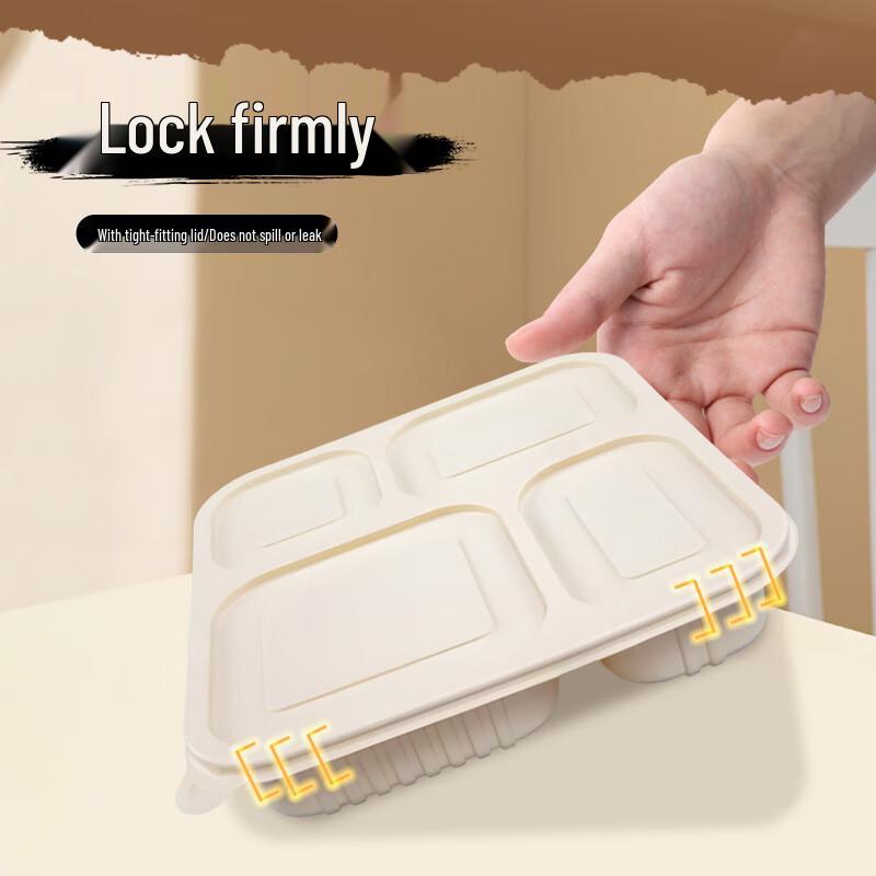 Einweg-4-Fach Biologisch abbaubarer Lebensmittelbehälter