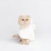Water-absorbing Bathrobe for Dogs and Cats