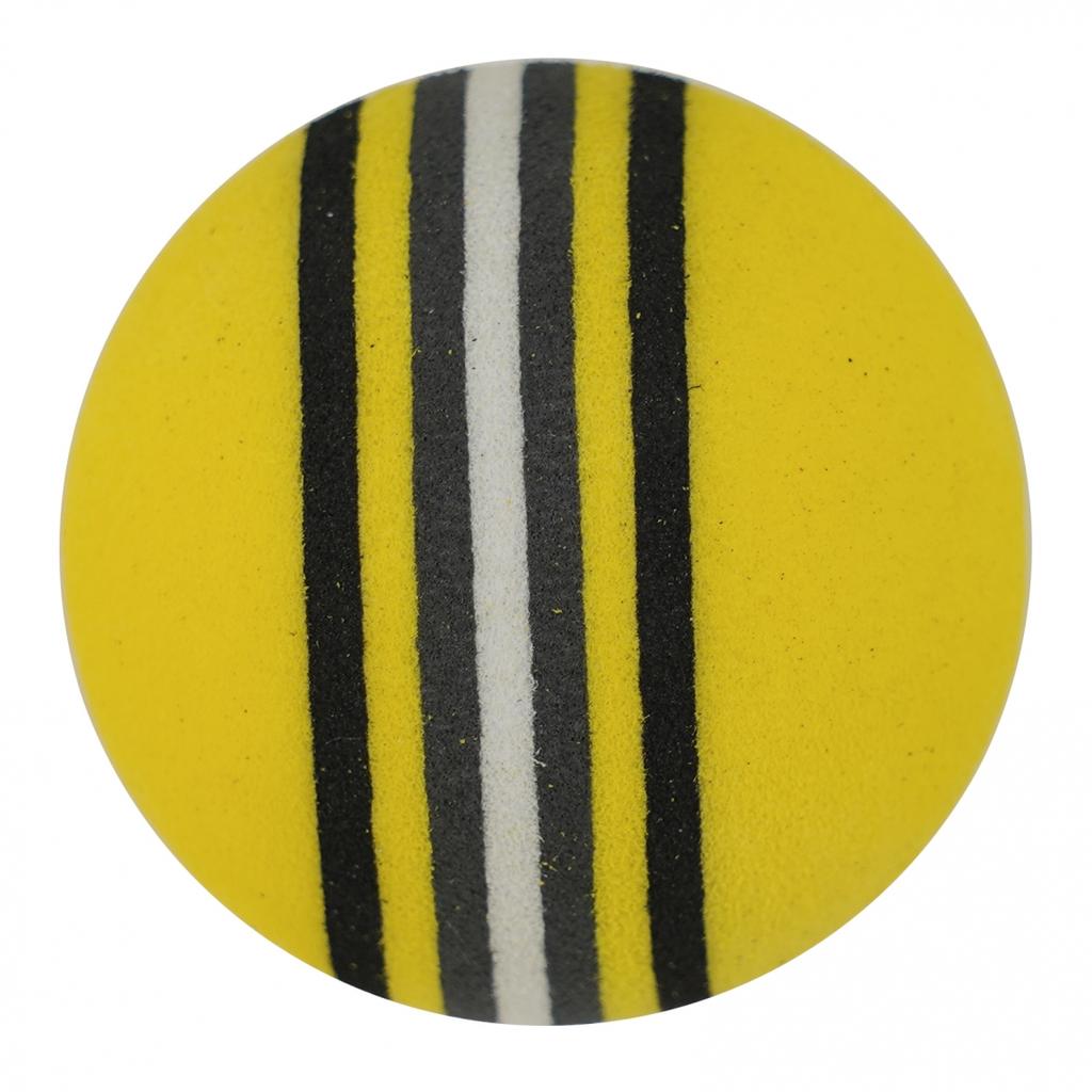 Colorful Rainbow Sponge Balls for Golf Swing Training (10pc Set)