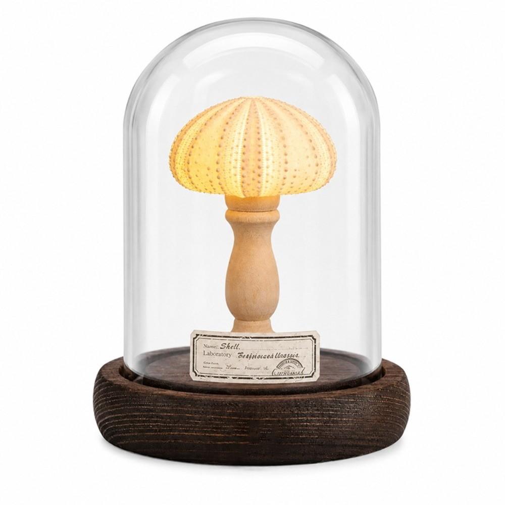Flicker Free Shell Lamp Soft Lighting Mini LED Lamp Vintage Style Desk Lamp Holiday Gift