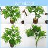 Artificial Adiantum Capillus Veneris Plant Ecofriendly Coating Decoration Home