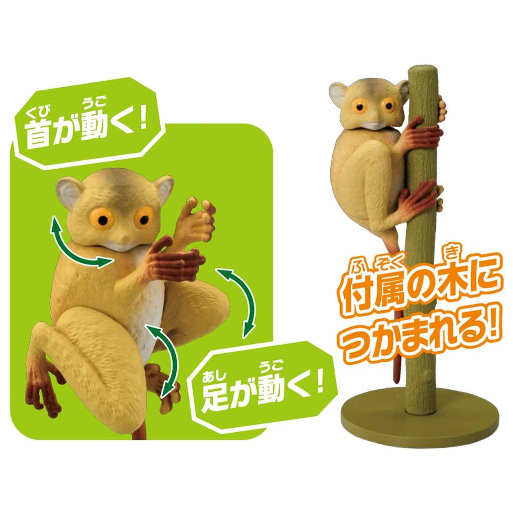 TAKARA TOMY Ania Tarsier Animal Dinosaur Toy Ages AS-27 (Western Tarsier) 3+
