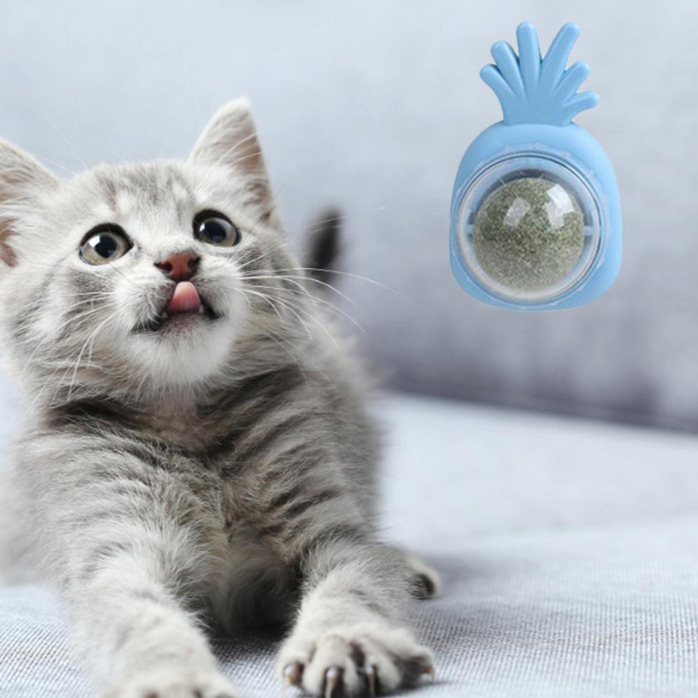 Cat Catnip Toys Ball Treats Healthy Cat Candy Licking Snacks Promote Digestion Rotatable Natural Interactive for Teeth Cleaning