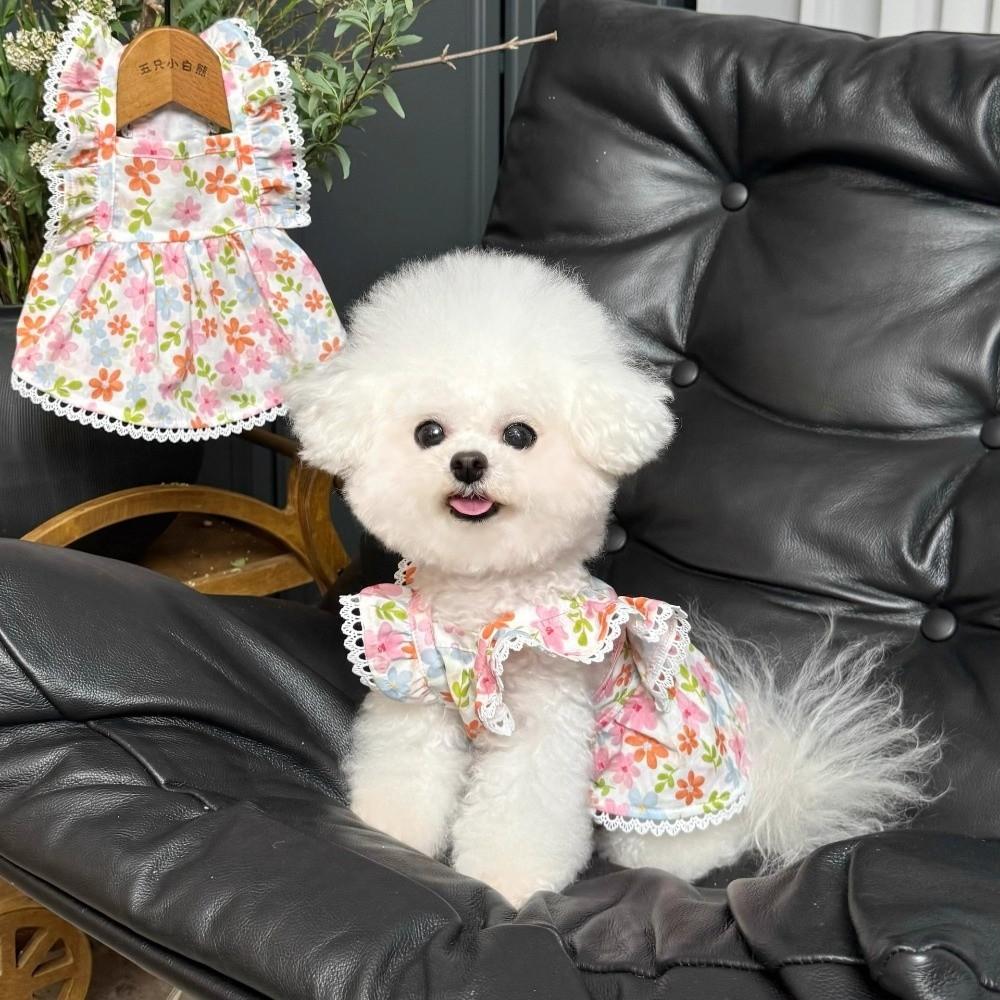 Summer Puppy Skirt Floral Print Corgi Teddy Clothes New Cat Dog Skirt  for Small Dog