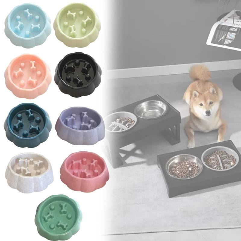 Pet Safe Slow Feed Bowl For Small Dogs And Cats With Anti Spill Design