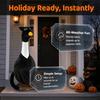 Black Cat Design Porch Goose Outfit Pumpkin Design Seasonal Set Goose Costume Set Outdoor Clothes Goose Clothe Yard Decoration