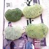 Natural Jade Carved Longevity Lock Pendant - Xiuyu Design