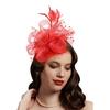 Feather Fascinator Hat Tulle Top Hat For Bridal Shower And Theme Parties Cocktail Party Gathering Dressingup Headpiece