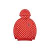 MLB Boston Red Sox All Over Floral Pattern Pullover Hoodie Unisex Hoodies 3AHDM0221-43RDL