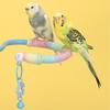 Stable Bird Training Perch Non-Slip Parrot Standing Pole Tabletop Parrot Biting Rod  Small Birds