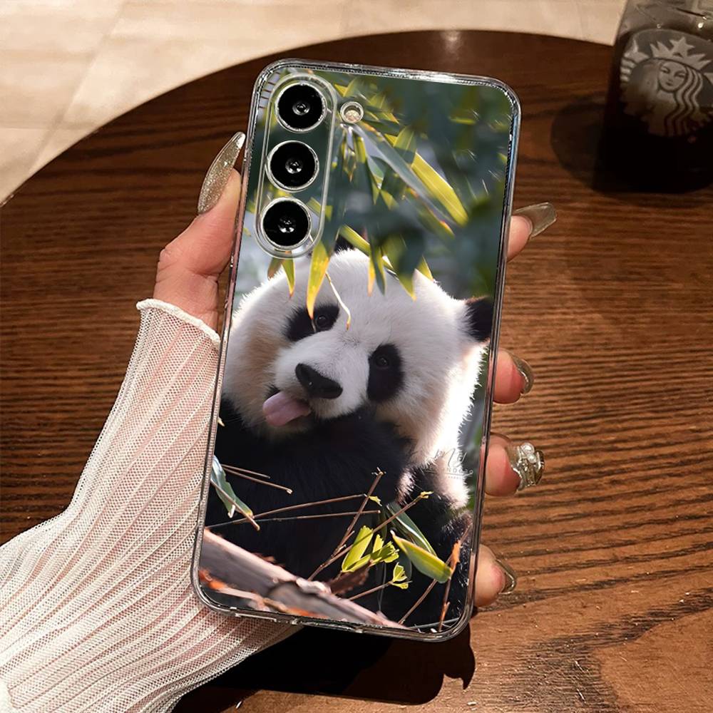Cute Panda Fubao Phone Case For Samsung S30,23,21,22,20, FE lite,S10,9,8,7 PIus Note20ultra Soft Transparent SamsungA31