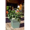 Pot de fleurs - TOSCANE - Plastique - Vert Laurier - Carré - 32x32xH32cm - 22L - EDA