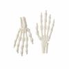 Flexible Joint Skeleton Hand Realistic Design Zombie Festival Props  Party Decoration