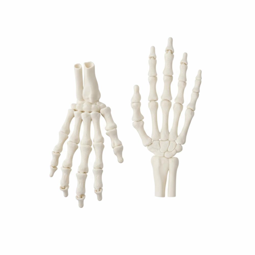 Flexible Joint Skeleton Hand Realistic Design Zombie Festival Props Party Decoration