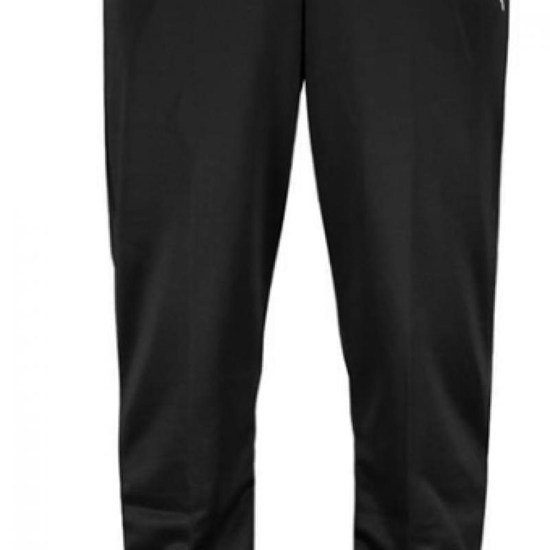 Puma Galleria Puma Team RiSe ASian Fit Men S Training trouSerS