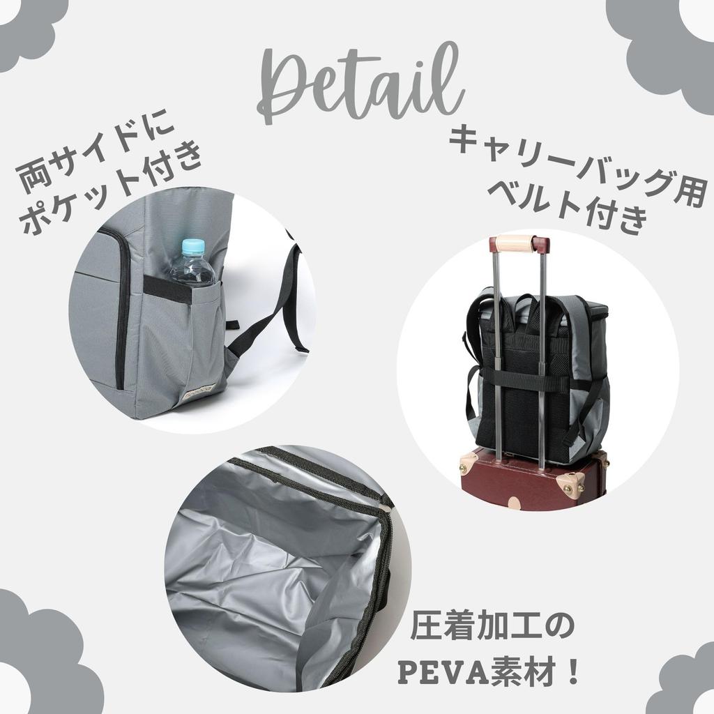 Rioboca Insulated Cooler for and Camping Backpack-Style Bag, 22L, Shopping, BBQs, (Black)