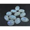 148Cts. Natural Rainbow Moonstone Oval Cabochon Loose Gemstone 11 Pcs Lot C-1645
