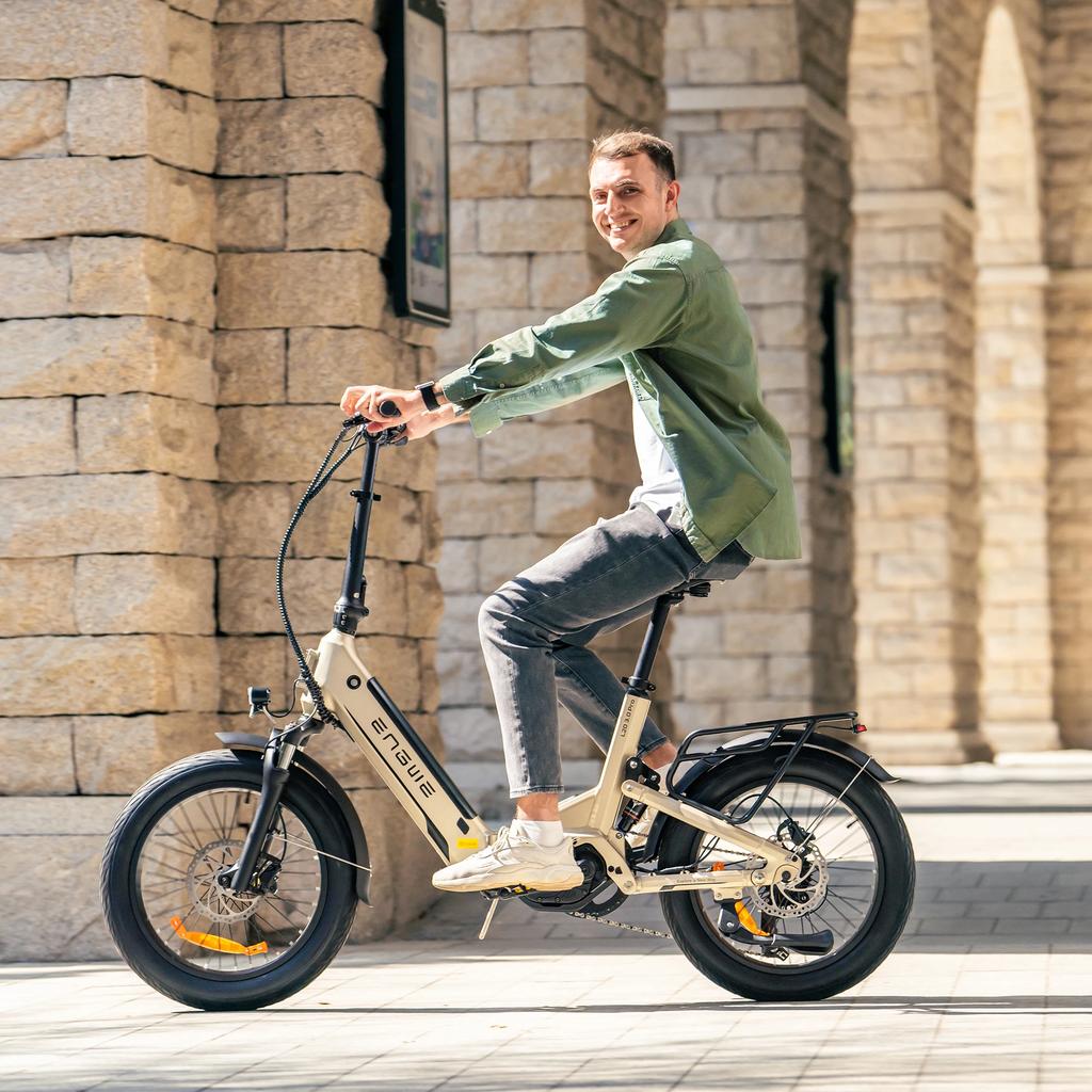 ENGWE L20 3.0 Pro Electric Bicycle 250W Motor 48V15AH Lithium Battery Hydraulic Disc Brake Electric Bike 20*3 inch Tires