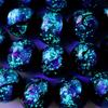 [GOLD STONE] Glow-in-the-dark Firefly Glass Beads, Blue, 14mm, 30 Beads, Sold Individually, 40cm Long, Okinawa, Type A, Glow-in-the-Dark