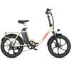 Bicicletta Elettrica Maxturn Mule per Adulti Motore 250W Batteria 48V 20Ah E-Bike Ruote Grasse 20*3.0 pollici Bicicletta Elettrica